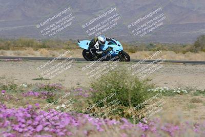 media/Feb-04-2023-SoCal Trackdays (Sat) [[8a776bf2c3]]/Turn 15 Inside Blooming (1050am)/